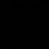 laudyarp