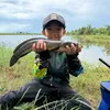 hunh.cao.vinh