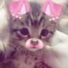 f4irypiws_