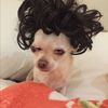 aicha_kone003