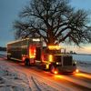 truckingisinmyblood