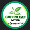 .4greehleap3