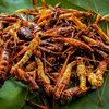 belalanggoreng501