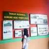nayawww_aja