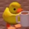 duck_149