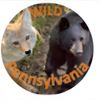 wildpennsylvania5