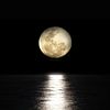 lookingglass395