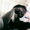 arpan.hidayat79