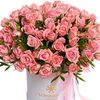 tatiana_44882