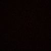 dicle_aydn