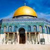 shah.muhammed428