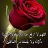 maha.moha77