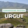 umid.03031991