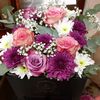 laila.muhammad6