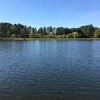 ethanheimeyer7