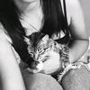 jesy_bast