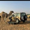msa_eri