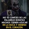 dachinperez1