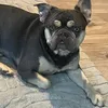 roxyprince13