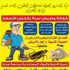 elhusseiny.pest_control