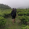 pribumi21_0