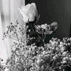 dina_ninoo