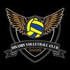 newdinamixvolleyball