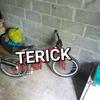 terick1_