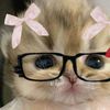 anayy_113
