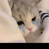 meeyyhey