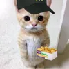 ajmmacs