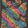 milorainbow25