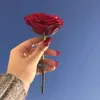 14vgq