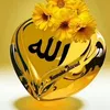 guli.bahasht4