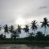 annas_170
