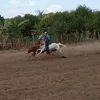 lucasdogado7