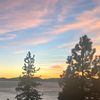 jay_zoo35