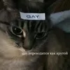 geragilz