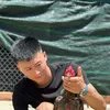 Gadonvietnam