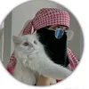 alaa68276