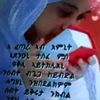 tigrai1212
