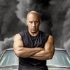 toretto.toretto1