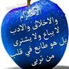 omar.abbas085