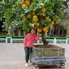 thanhtienphung