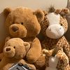 sisterbear42