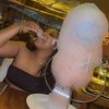 shonipooh86