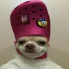 _ririssuteja