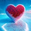 rakib.hossin.jaki