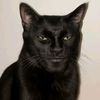 adamagoodboy