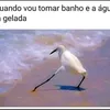 marianadasilvafeitosa8